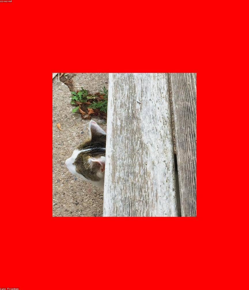 Test St8 for CI